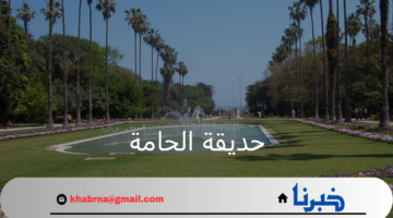 حديقة الحامة تحت رحمة النيران.. تفاصيل الحريق وأهم النصائح لمواجهة حرارة صيف