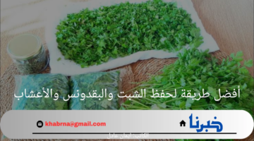 سوف تظل معكي لنهاية اليوم.. أفضل طريقة لحفظ الكزبرة والشبت والبقدونس في الثلاجة لفترة طويلة