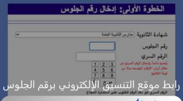 رابط موقع التنسيق الإلكتروني برقم الجلوس للثانوية العامة والاستعلام عن نتيجة المرحلة الأولى