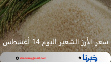 بالطن والكيلو.. كم سعر الأرز الشعير اليوم 14 أغسطس 2024 حتى يصل إلى يد المستهلك؟