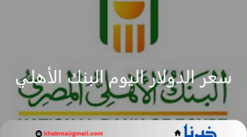 سعر الدولار اليوم البنك الاهلي والعملات العربية والأجنبية 24 أغسطس 2024