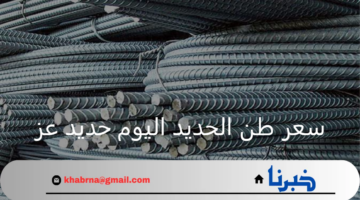 سعر طن الحديد اليوم حديد عز الثلاثاء الموافق 20 أغسطس 2024