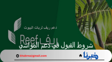 وزارة البيئة والمياه والزراعة تحدد شروط القبول في دعم المواشي