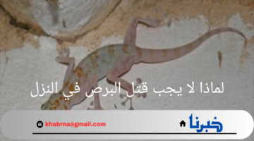 الكثير من الناس لم يكن يعلم بها.. لماذا لا يجب قتل البرص في المنزل ولماذا أمر النبي بقتله؟