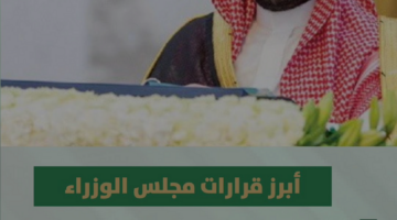 عاجل قرارات مجلس الوزراء اليوم برئاسة ولي العهد الأمير محمد بن سلمان 13 أغسطس