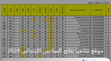 استعلم بالاسم.. عبر موقع نتائجنا نتائج السادس الابتدائي 2024 دور ثاني
