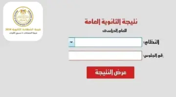 تعرف على.. موعد نتيجة الثانوية العامة 2024 بالاسم ورقم الجلوس من قبل وزارة التربية