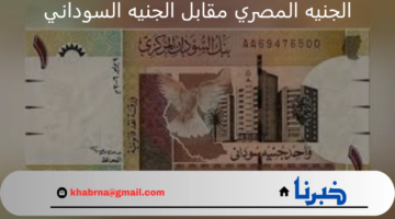 سعر الجنيه المصري مقابل الجنيه السوداني اليوم الأحد 1 سبتمبر 2024