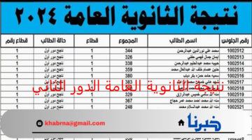 خلال ساعات.. موعد وطريقة الاستعلام نتيجة الثانوية العامة الدور الثاني علمي وأدبي 2024