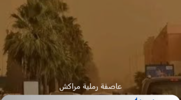 عاصفة رملية شديدة تضرب مراكش تجعلها باللون الأصفر