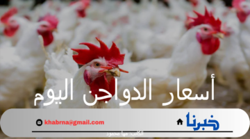 أسعار الدواجن اليوم السبت 7 سبتمبر 2024 وفقاً لبورصة الدواجن الرئيسية والأسواق المصرية