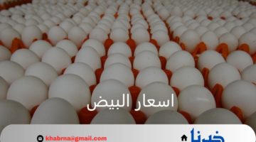 "مفاجأة غير متوقعة".. اسعار البيض اليوم الإثنين 9 سبتمبر 2024 في الاسواق المحلية