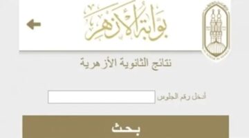 من هنا…رابط الاستعلام عن نتيجة الثانوية الأزهرية الدور الثاني 2024 وخطوات الحصول عليها