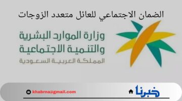 هل يصرف الضمان الاجتماعي للعائل متعدد الزوجات؟.. "وزارة الموارد البشرية" تجيب