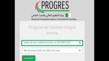 ما هي خطوات التسجيل في المنحة الجامعية بالجزائر؟.. "وزارة التعليم العالي" تجيب
