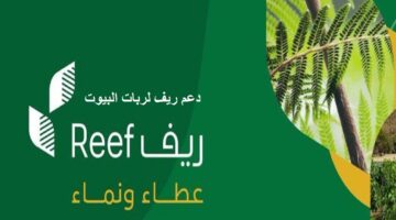 ريف السعودية لريادة الأعمال يطلق حاضنتي أعمال السياحة والتنمية الريفية