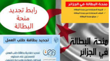 "جددها الآن".. رابط تجديد منحة البطالة 2024 وأهم شروط التجديد عبر الموقع الرسمي للوكالة الوطنية للتشغيل