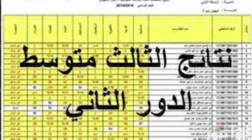وزارة التربية العراقية توضح بالخطوات طريقة الاستعلام عن نتائج الثالث متوسط الدور الثاني 2024