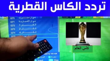 "استقبلها بجودة عالية" تردد قناة الكأس الرياضية وخطوات تثبيت التردد على الجهاز