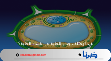 إجابة سؤال في مادة العلوم: فيما يختلف جدار الخلية عن غشاء الخلية؟