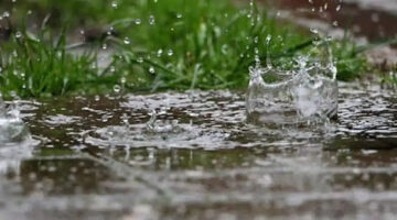 كم بلغت كميات الأمطار المسجلة خلال ال24 ساعة الأخيرة في دولة تونس؟