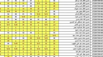 "وزارة التربية العراقية".. رابط الاستعلام عن نتائج السادس الإعدادي الدور الثاني