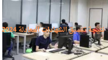 متى موعد الإعلان عن نتيجة تنسيق الشهادات المعادلة 2024 العربية والإنجليزية عبر موقع التنسيق الإلكتروني؟