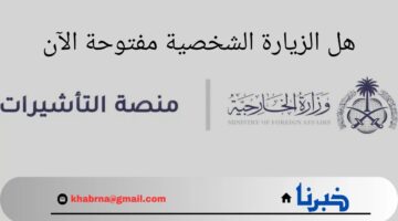 هل الزيارة الشخصية مفتوحة الآن؟.. وما هي خطوات التقديم علي منصة التأشيرات؟