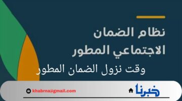 وزارة الموارد البشرية تحدد وقت نزول الضمان المطور وخطوات الاستعلام