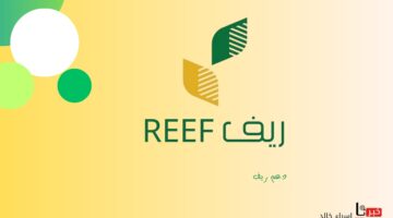 للتحقق من أهليتك.. رابط reef.gov.sa استعلام عن دعم ريف 1446