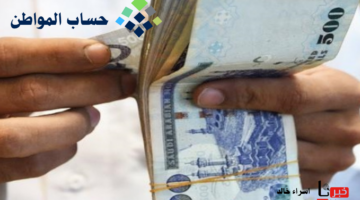 قبل ايداع الدعم الشهري.. كم ينزل حساب المواطن دفعة شهر اكتوبر 2024؟