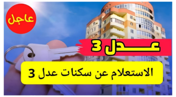 من هنا.. خطوات الاستعلام عن نتائج عدل 3 المرحلة الأولى 2024 بالجزائر