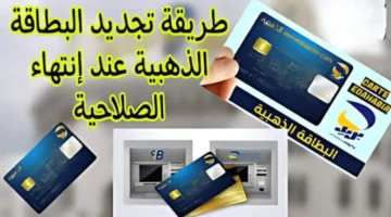 "خطوات سهلة وبسيطة".. كيفية تجديد البطاقة الذهبية 2024 بالجزائر عبر هيئة البريد الجزائرية eccp.poste.dz