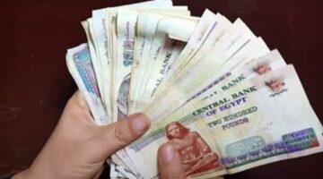 ما هي حقيقة زيادة المعاشات لشهر نوفمبر 2024؟.. "الهيئة القومية للتأمينات الاجتماعية" توضح