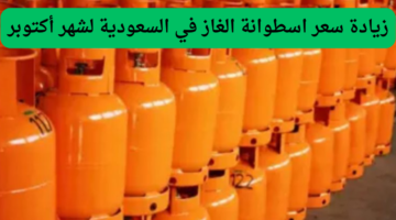 بعد تعديلها من قبل أرامكو رسميًا .. كم تصل زيادة سعر اسطوانة الغاز في السعودية؟