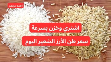 "انخفاض جديد".. سعر طن الأرز الشعير اليوم الأربعاء 23 أكتوبر 2024 في السوق!