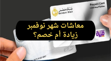 حقيقة زيادة معاشات شهر نوفمبر 2024 وموعد صرف المعاشات وكيفية الاستعلام عنها
