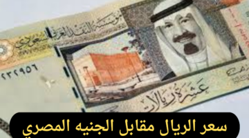 سعر الريال مقابل الجنيه المصري اليوم الجمعة 25-10-2024 في البنوك