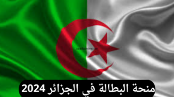 رابط التسجيل في منحة البطالة 2024 الجزائر عبر anem.dz وشروط المنحة