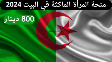 احصلي على 800 دينار.. رابط التسجيل في منحة المرأة الماكثة في البيت 2024 الجزائر والشروط اللازمة
