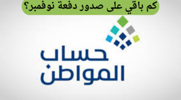 كم باقي على حساب المواطن الدفعة 84 لشهر نوفمبر 2024 بعد صدور الأهلية؟