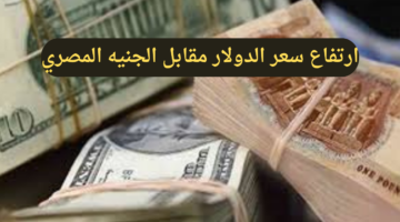 عاجل.. ارتفاع سعر الدولار مقابل الجنيه المصري اليوم ويتخطى هذا المستوى