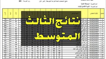 نزلها الآن Pdf..رابط نتائج الثالث متوسط الدور الثالث عبر نتائجنا لكافة المحافظات العراقية بالخطوات المطلوبة
