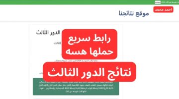 هسه حملها PDF.. نتائج الثالث متوسط الدور الثالث 2024 جميع المحافظات عبر موقع نتائجنا