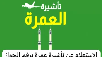 من هنا.. كيفية الحصول على تأشيرة العمرة 2024 خلال تطبيق نسك