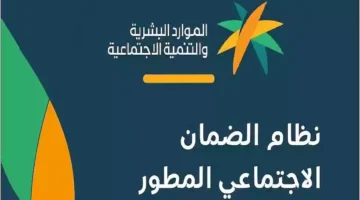 موعد صدور أهلية الضمان الاجتماعي المطور لشهر ديسمبر 2024 .. وخطوات الاستعلام عن الأهلية