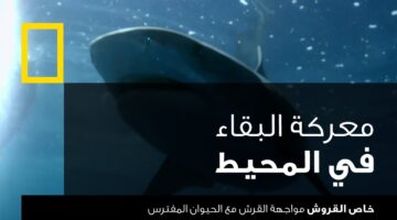 "استثمر وقت فراغك في المعرفة ".. تردد قناة ناشيونال جيوغرافيك 2024 الجديد على النايل وعرب سات