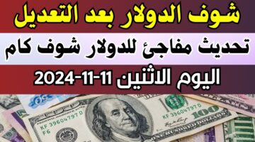 الاقتصاد المصري في خطر.. إرتفاع سعر الدولار اليوم مقابل الجنيه المصري اليوم الإثنين 11 نوفمبر 2024