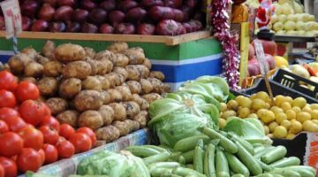 "بأفضل سعر" أسعار الخضروات اليوم الأحد 10/11/2024 بسوق العبور