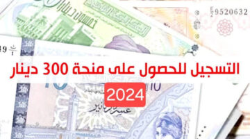 "قدم الآن واحصل على مبلغ المنحة".. رابط التسجيل في منحة الـ 300 دينار تونسي واهم الشروط المطلوبة